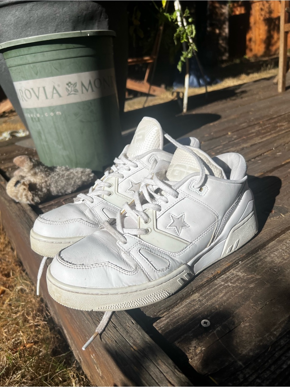 Converse Vintage White Sneakers